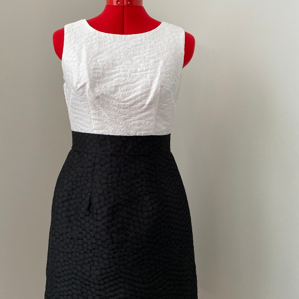 Classic Black and White dress